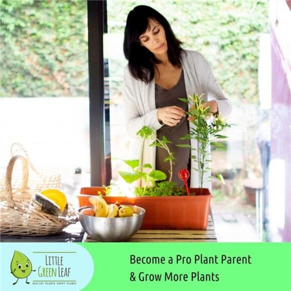 Plant Watering Globes.Self Watering Planter Inserts Made from Hand-Blown Durable - Picture 5 of 7